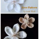 Cherry Blossoms Free Knitting Pattern