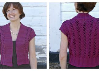 Four Seasons Vest Free Knitting Pattern