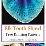 Elk Tooth Shawl Free Knitting Pattern
