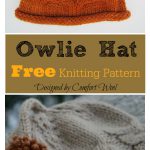 Owlie Hat Free Knitting Pattern