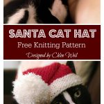 Santa Cat Hat Free Knitting Pattern
