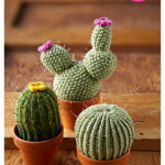 Cactus Pincushion Free Knitting Pattern