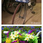 Bike Basket Free Knitting Pattern