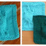 Embossed Turtle Dishcloth Free Knitting Pattern
