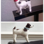 Jack Russell Free Knitting Pattern