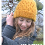 Honeycomb Beanie Hat Free Knitting Pattern