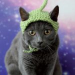 Alien Cat Hat Free Knitting Pattern