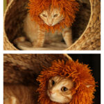 Cat’s Mane Hat Free Knitting Pattern