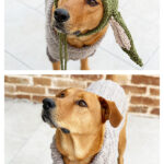 Baby Yoda Dog Sweater and Hat Free Knitting Pattern