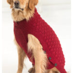 Clifford Dog Sweater Free Knitting Pattern