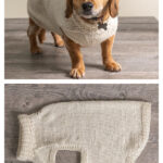 Dog Sweater Free Knitting Pattern