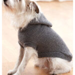 Hoodie Dog Coat Free Knitting Pattern