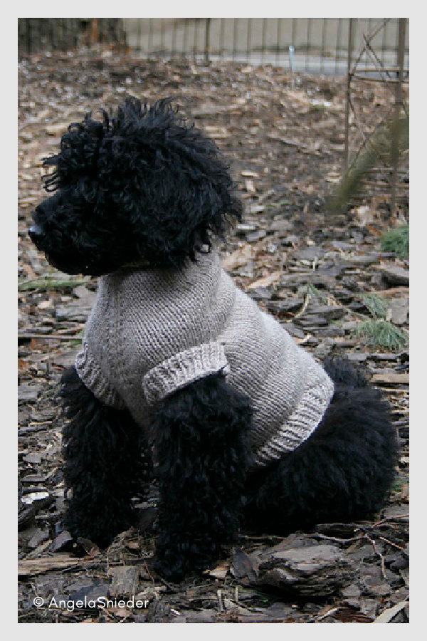 Clifford Dog Sweater Free Knitting Pattern