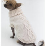 Prep Dog Sweater Free Knitting Pattern