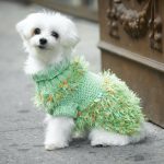 Turtleneck Dog Sweater Free Knitting Pattern