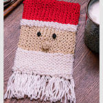 Santa Claus Potholder Free Knitting Pattern