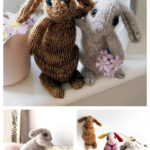 Beginner’s Bunny Rabbit Free Knitting Pattern