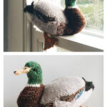 Mallard Duck Knitting Pattern