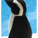 Amigurumi African Penguin Soft Toy Knitting Pattern