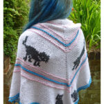 Cat Shawl Knitting Pattern