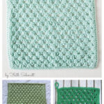 Honeycomb Dishcloth Free Knitting Pattern