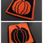 Double Knit Pumpkin Potholder Free Knitting Pattern