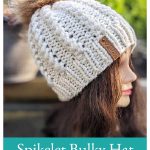 Spikelet Bulky Hat Free Knitting Pattern