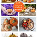 Little Pumpkin Free Knitting Pattern and Paid