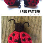 Amigurumi LadyBug Free Knitting Pattern
