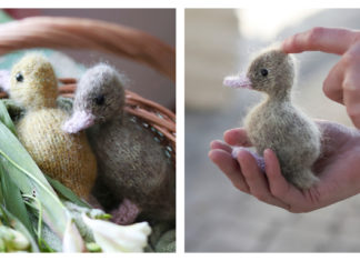 Lucky Duckling Free Knitting Pattern