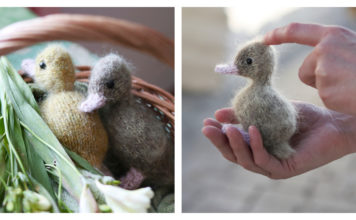 Lucky Duckling Free Knitting Pattern