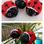 Linden Ladybird the Ladybug Free Knitting Pattern