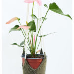 Perennial Plant Hanger Free Knitting Pattern