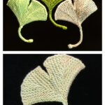 Ginkgo Leaf Free Knitting Pattern