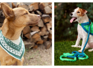 Dog Bandana Free Knitting Pattern