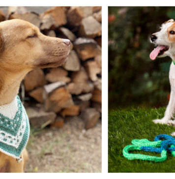 Dog Bandana Free Knitting Pattern