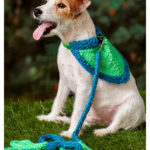 Flashy Dog Leash and Bandana Free Knitting Pattern