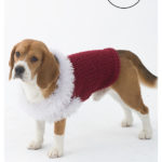 Celebrator Dog Sweater Free Knitting Pattern