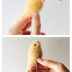 Canary Free Knitting Pattern