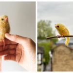 Canary Free Knitting Pattern