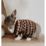Bunny Hug Free Knitting Pattern