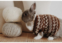 Bunny Hug Free Knitting Pattern