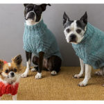 Lucky Dog Sweater Knitting Pattern