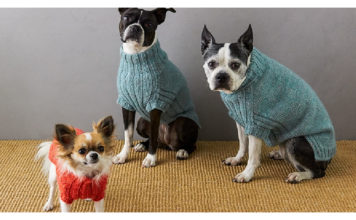 Lucky Dog Sweater Knitting Pattern