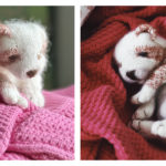 New Born Puppy Free Knitting Pattern