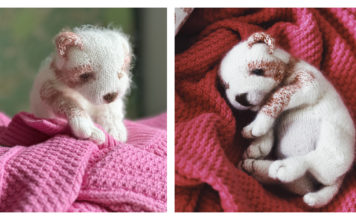 New Born Puppy Free Knitting Pattern