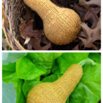 Butternut Squash Free Knitting Pattern