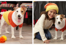 Candy Corn Dog Sweater Free Knitting Patt
