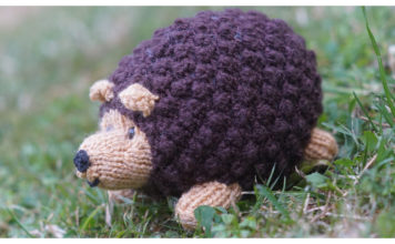 Cute Hedgehog Toy Free Knitting Pattern