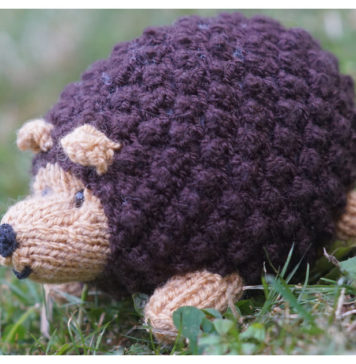 Cute Hedgehog Toy Free Knitting Pattern